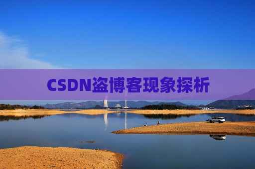 CSDN盗博客现象探析